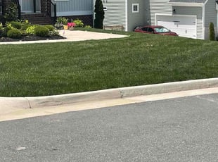 Adam A.'s lawn care services service result