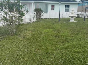 Loris T.'s grass cutting service result