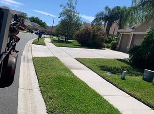 Kamille C.'s grass maintenance service result