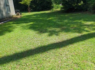 Rima S.'s turf maintenance service result
