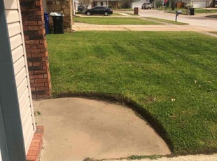 Alicia J.'s turf care service result