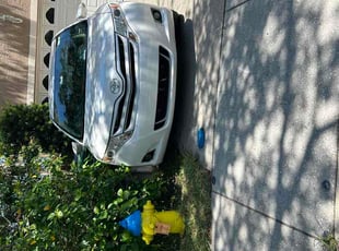 John K.'s lawn care service result