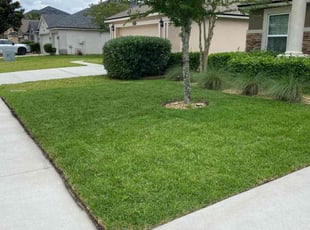 Rhett L.'s grass cutting service result