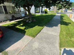 Brandon C.'s lawn care service result