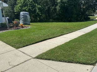 Shena H.'s residential landscaping service result