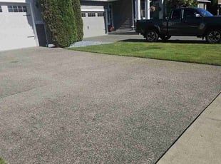 Dan P.'s lawn care service result