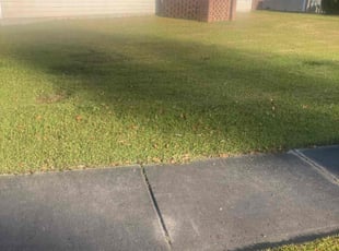 Ian H.'s lawn maintenance service result