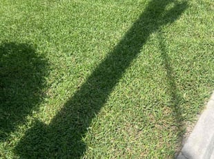 William W.'s lawn care services service result