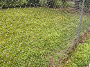 Hannah G.'s lawn care service result