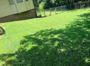 Dalisay H.'s lawn care services service result