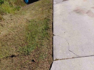 Shae A.'s grass cutting service result