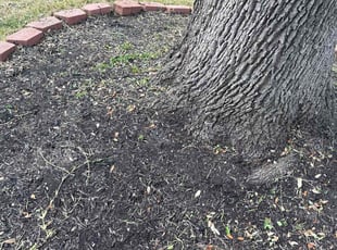 Gerrand L.'s Flower Bed Weeding service result