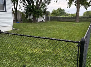 Laurie F.'s Lawn Mowing service result