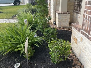 Yvonne B.'s Bush Trimming service result