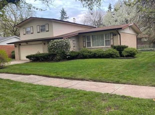 Eileen T.'s lawn maintenance service result