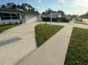 Sarah M.'s turf care service result