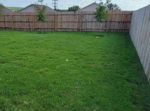 Kevin M.'s turf maintenance service result