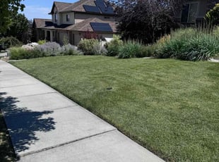 Jeffrey M.'s yard service service result