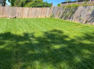 Cliff B.'s lawn care service result