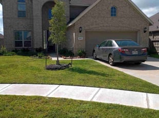 Crystal M.'s turf care service result