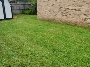 Drew C.'s lawn maintenance service result