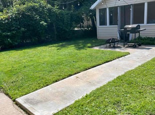 Ferran T.'s grass cutting service result