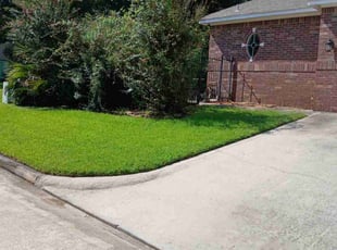 Maurice D.'s residential landscaping service result