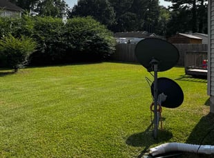 Eric C.'s grass cutting service result