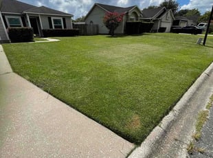 Sam S.'s lawn care service result