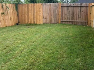 Robert B.'s turf care service result
