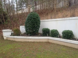 Derrick C.'s Bush Trimming service result