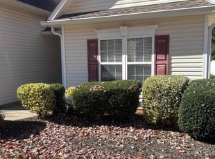 Michael M.'s Bush Trimming service result