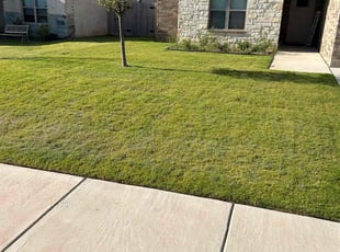 Brittany L.'s turf care service result