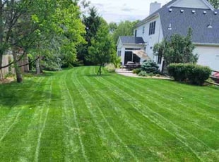 Brandon B.'s grass maintenance service result