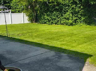 Jeremy M.'s lawn care service result