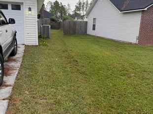 Michael T.'s turf care service result