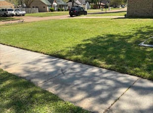 Quela G.'s lawn maintenance service result
