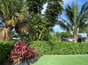 Diane H.'s Bush Trimming service result