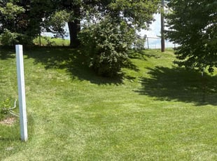 Matthew M.'s turf maintenance service result
