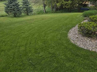 Elisabeth M.'s turf maintenance service result