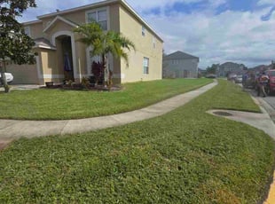 Todd H.'s grass cutting service result