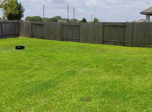 Linda C.'s lawn maintenance service result