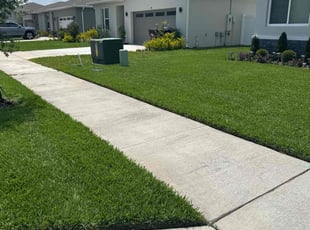 Cindy B.'s landscaping services service result