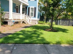 Taryn M.'s lawn maintenance service result
