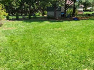 Sean K.'s lawn maintenance service result
