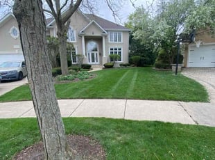Susan W.'s lawn maintenance service result