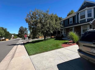 Laura H.'s grass maintenance service result