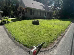 Zaynab A.'s lawn maintenance service result
