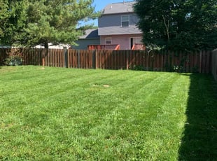 Jenny Z.'s lawn maintenance service result
