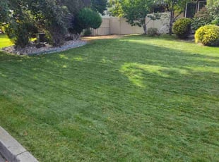 Angela S.'s lawn care services service result